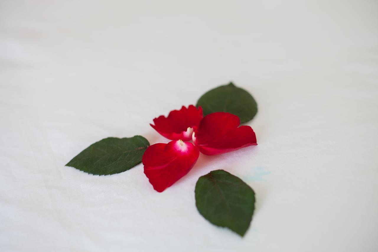 Sapa Tulip Hotel Εξωτερικό φωτογραφία